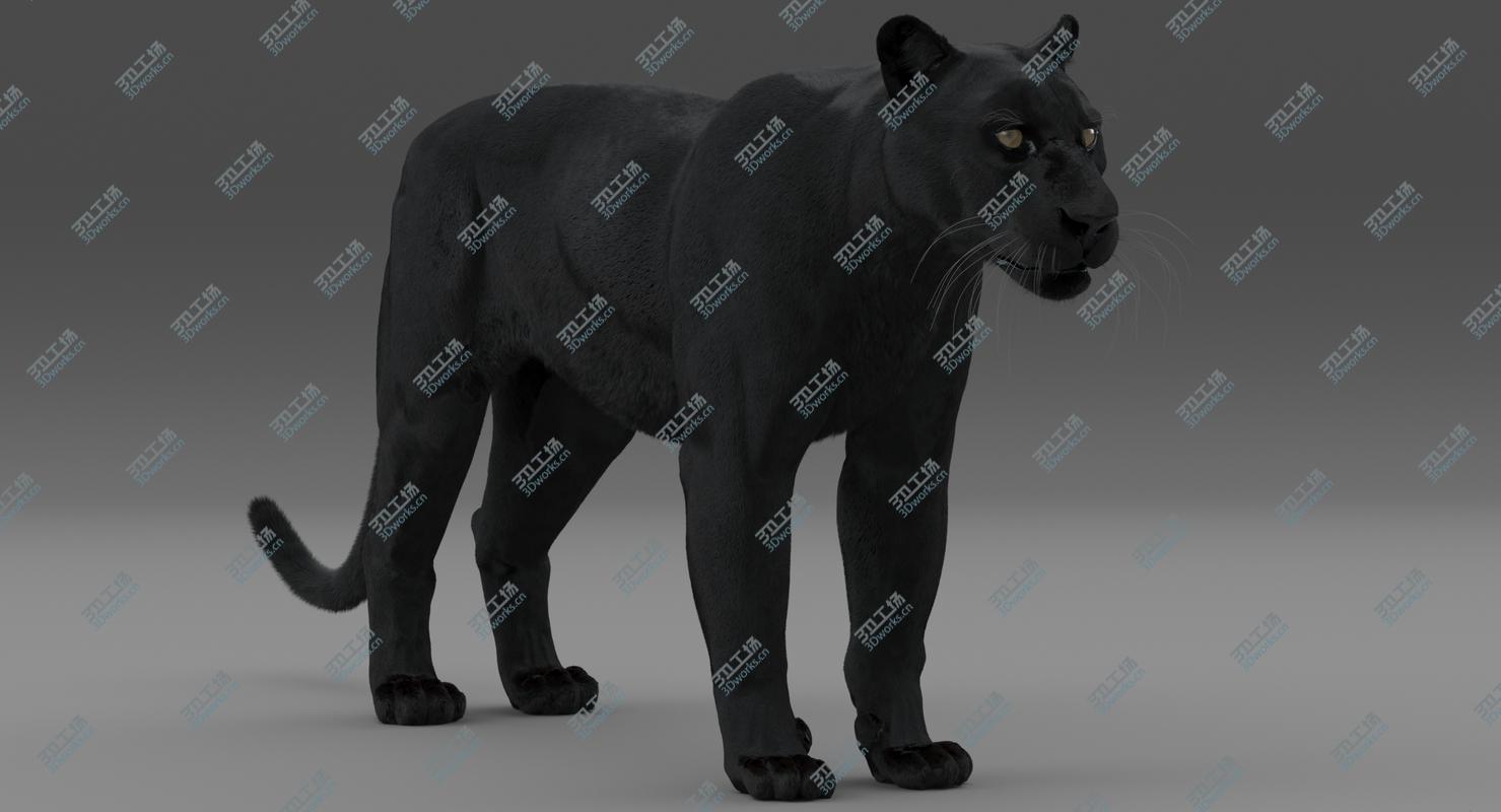 images/goods_img/2021040161/Black Panther (Rigged-Fur) 3D model/5.jpg